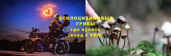 spice Алексин