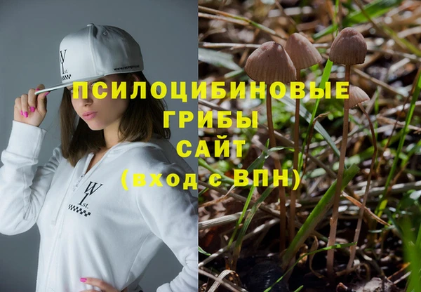 spice Алексин