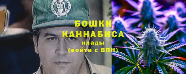 spice Алексин